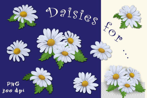 Download White Daisies - White daisies Collection