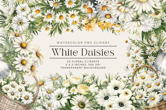 Download Watercolor White Daisies Flower Clipart - White daisies Collection